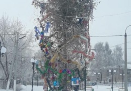 Жители поселка в Татарстане потребовали убрать наряженную к праздникам ёлку