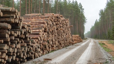 Прирост лесов Эстонии намного превышает объемы вырубки, а древесина используется по максимуму 
