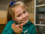 8-летняя девочка делит спальню с более чем 50 тарантулами