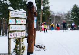 24 февраля на Оздоровительных трассах Ореховой горки будет дан старт на Нарвский лыжный заезд