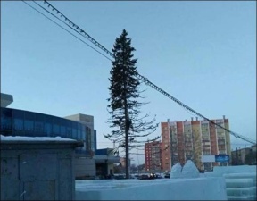 Жители Копейска возмущены лысой новогодней елкой на площади