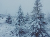 Снегопад в Мурманской области