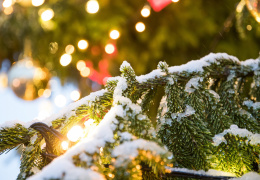 В Ахтме с Рождественской елки украли украшения 