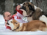 Путин и его собаки. Собаки и их Путин