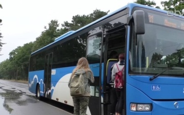 Нарвитяне с боями пробиваются на свои дачи из-за ограничений на число пассажиров в автобусе 