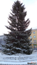 Огни новогодней елки в Нарве зажгутся 28 ноября