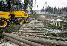 В лесной промышленности Эстонии может быть объявлено кризисное положение