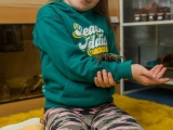 8-летняя девочка делит спальню с более чем 50 тарантулами