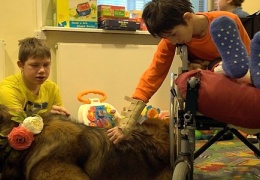 В Нарвской больнице станут работать терапевтические собаки