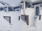  В Канаде выпало рекордное количество снега 