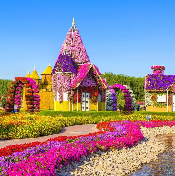 Парк Dubai Miracle Garden – цветущий оазис в пустыне 