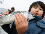 Суровая рыбалка в Южной Корее
