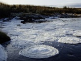 Удивительные "ледяные блины" в реке в Шотландском нагорье