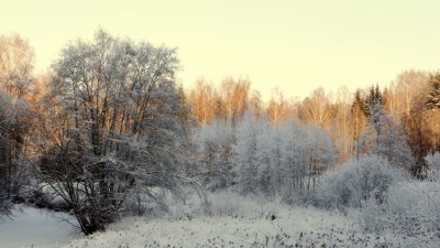 В ближайшие дни в Эстонии будет небольшой мороз 