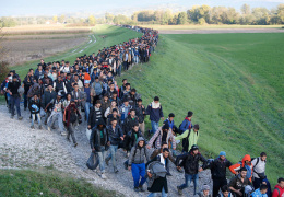 Мигранты стройною толпой…