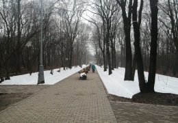 В Москве выпал первый снег… Или это все же не снег?