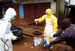 По прогнозам ВОЗ, лихорадка Эбола может поразить до 20 тысяч человек к концу 2014 года