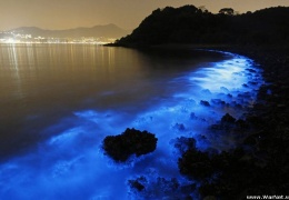 Удивительное природное явление на побережье Гонконга