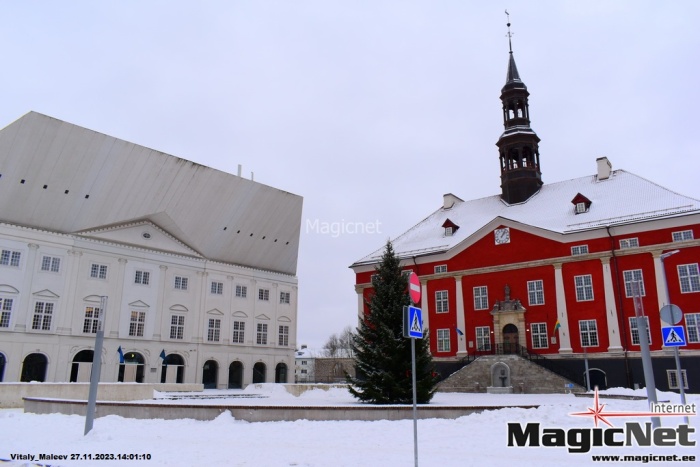 ФОТО: в Нарве впервые в истории установили рождественскую ель на Ратушной площади