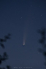 В Эстонии можно увидеть пролетающую мимо Земли комету 