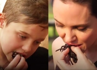 Шокирован ВИДЕО, как Анджелина Джоли накормила своих детей пауками 
