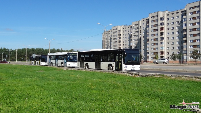 В результате смены фирмы-перевозчика в Нарве могут потерять работу 70 водителей автобусов
