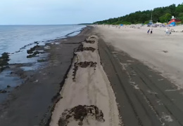 Отдыхающие на усть-наровском пляже негодуют: когда уберут водоросли?