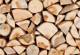 Резкое подорожание дров в Эстонии не привело к уменьшению их дефицита