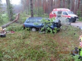 В Вырумаа автомобиль въехал в дерево, молодой водитель получил тяжелые травмы