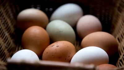 В Эстонии выросло производство яиц и молока 