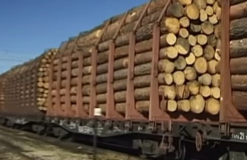  Из Бурятии за три месяца вывезли лес на 47 млн долларов