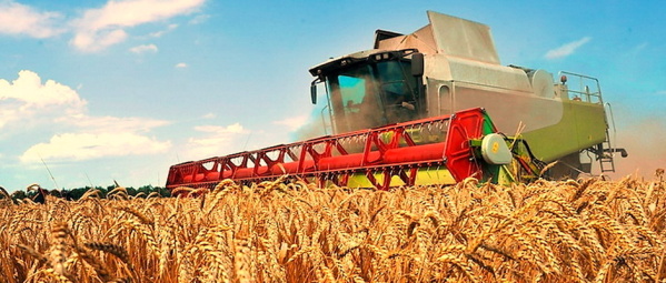 Эксперты по сельскому хозяйству: дефицит зерновых Эстонии не грозит, но цена продуктов вырастет