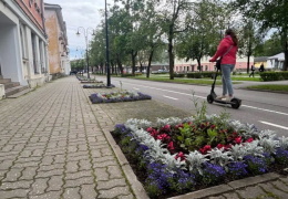 Вандализм в Нарве снова поднимает голову: воруют цветы, ломают скамейки