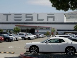  "Арестуйте меня": Илон Маск открыл завод Tesla вопреки запретам