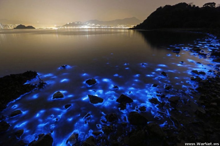Удивительное природное явление на побережье Гонконга