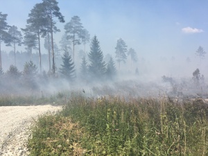 ФОТО и ВИДЕО: лесной пожар в волости Тойла взят под контроль