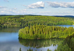 В Финляндии в связи с рекордным нагреванием воды опасаются массовой гибели рыбы