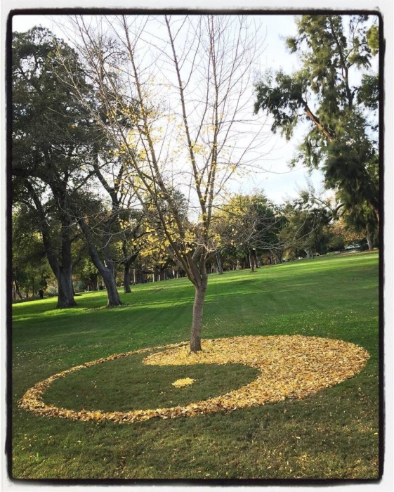  Американка создаёт из опавших осенних листьев разные геометрические узоры