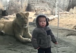 Дети отжигают в зоопарке 