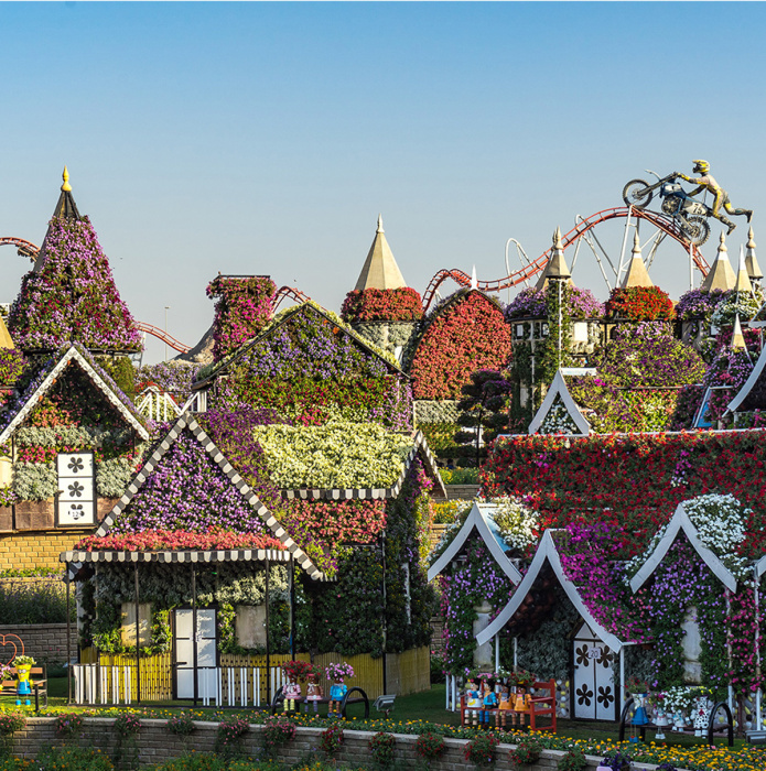 Парк Dubai Miracle Garden – цветущий оазис в пустыне 