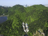Китайский жилой район посреди леса 