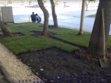  Коммунальщики перекопали экскаватором образцовый газон в Екатеринбурге 