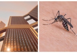 Почему считается, что комары не залетают на верхние этажи