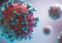 За сутки в Эстонии выявили 56 новых случаев заражения коронавирусом
