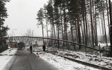 В Эстонии из-за шторма обесточены свыше 3100 домов, Таллиннский аэропорт не принимал самолеты 