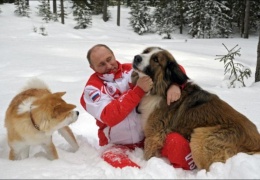 Путин и его собаки. Собаки и их Путин