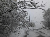 Снегопад в Мурманской области
