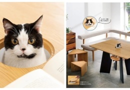  Пообедать с питомцем: в Японии придумали стол с отверстием для кота 