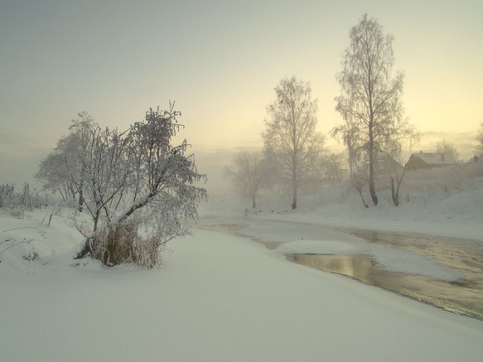 Зимние пейзажи Максима Евдокимова