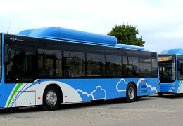 Маршруты автобусов в Нарве перерисуют